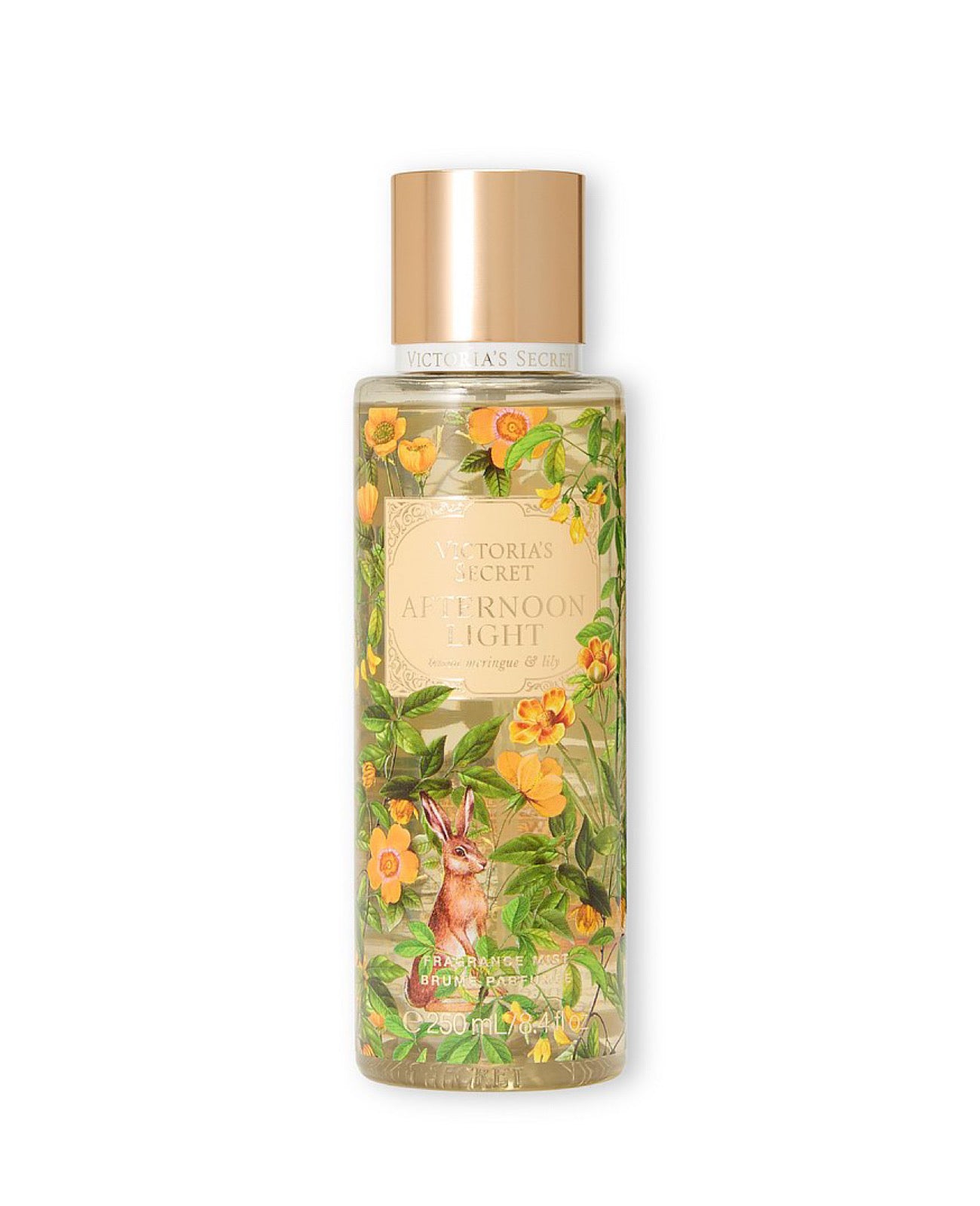 VS: AFTERNOON LIGHT