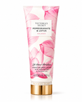 VS: Pomegranate & lotus